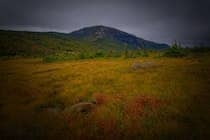 Tablelands, Newfoundland