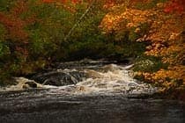 Rapids in Autumn
